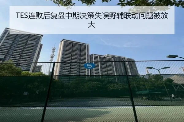 TES连败后复盘中期决策失误野辅联动问题被放大 - BWIN