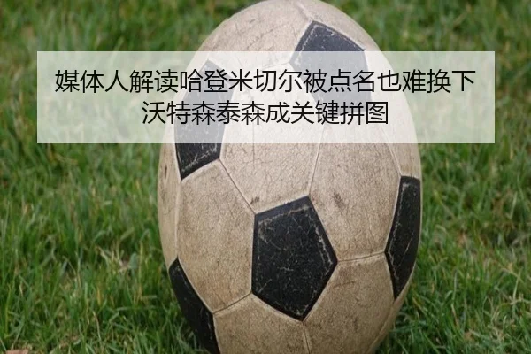 媒体人解读哈登米切尔被点名也难换下 沃特森泰森成关键拼图 - BWIN